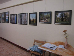 IMG_7111.jpg
