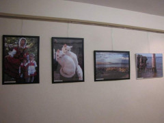 IMG_7116.jpg