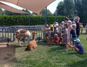  III turnus półkolonii za nami - zdjęcie dzieci